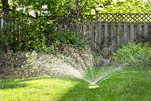 Lawn Sprinkler Installation